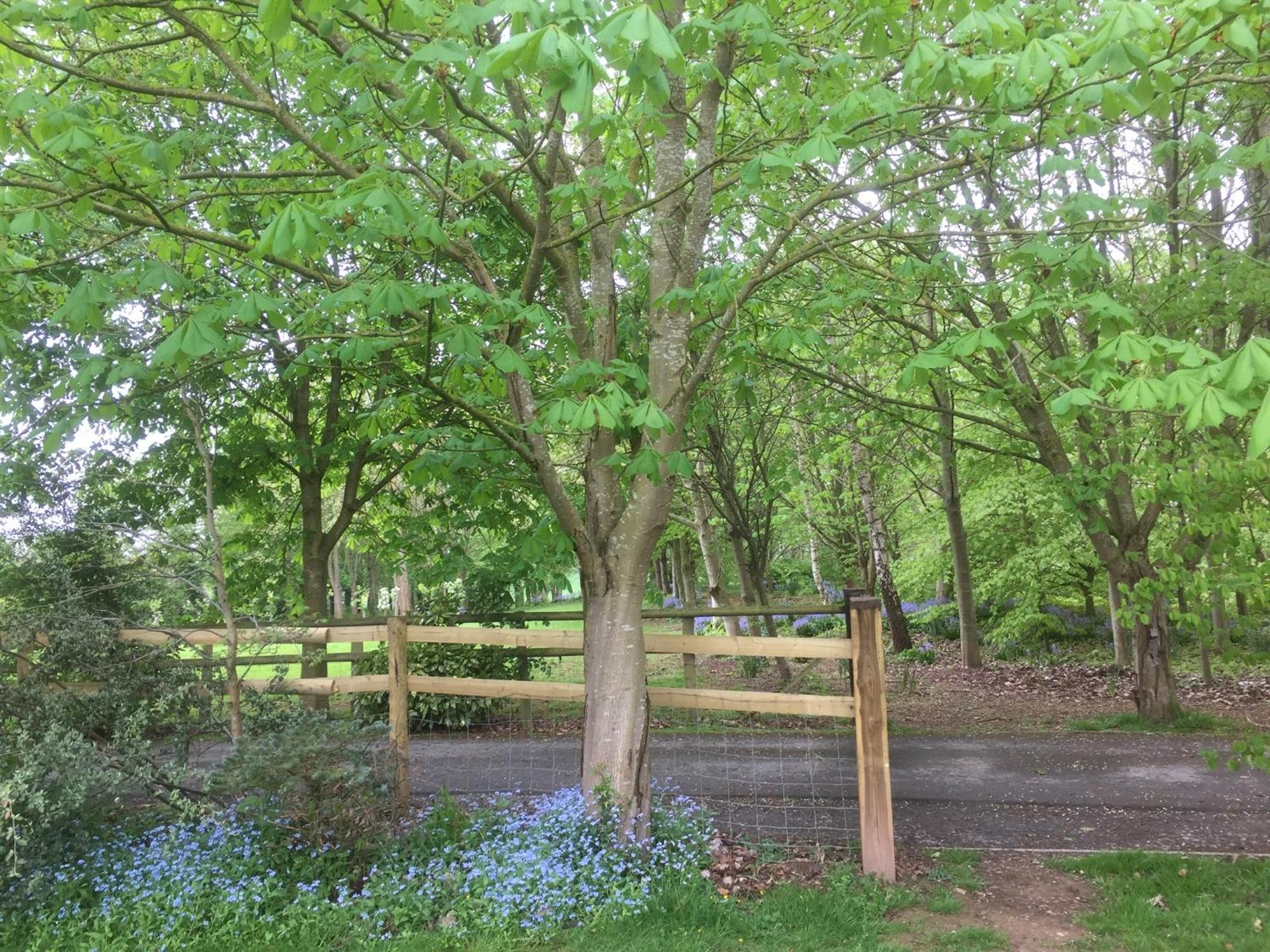 Holly's Holiday home Wellington (Herefordshire)